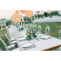 Transparent Crystal Resin Acrylic Round Back Wedding Chair