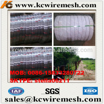 Factory!!!!!!! Cheap!!!!!! KangChen 17/15 2.4x3.0mm 700-1400KGF 1000m 45kg/coil oval steel wire
