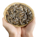 Different Flavor Roasted Sunflower Seeds