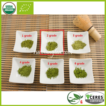 Ecocert Organic Matcha Powder Uji Matcha