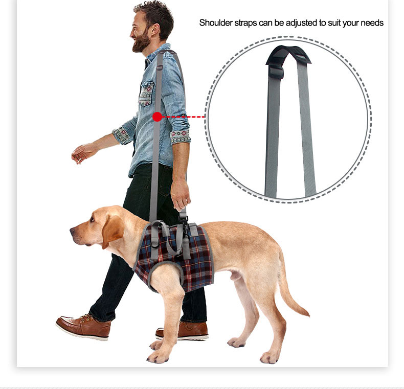 Dog Auxiliary Belt For Recovery