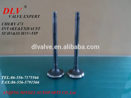CHERY 473 ENGINE VALVE