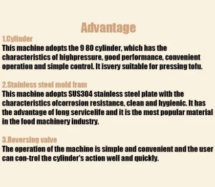 Pneumatic Tofu Machine: Custom Tofu Pressing and Making Machine