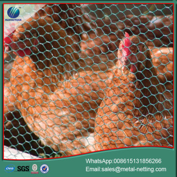ayam wire mesh hexagonal wire netting