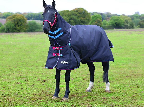 PRODOTTI EQUESTRI HIGHLANDER CASSET