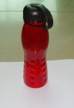 Bottle