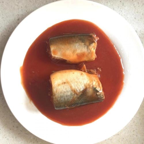 Canned Mackerel Fish In Tomato Sauce Hot