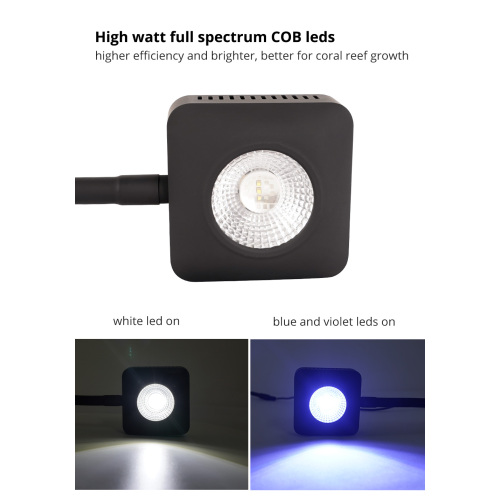30W COB LED Coral Lamp voor zoutwateraquaria