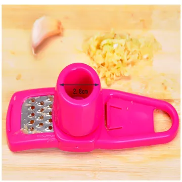Stainless Steel Kitchen Tool Garlic
