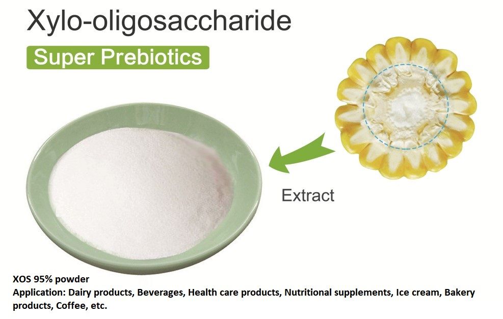 تغذية تربية الدواجن المضافات الغذائية Probiotic Xylo-oligosaccharide 70 ٪ مسحوق XOS مع GMP +