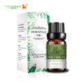 10 ml de aceite de planta natural pura en stock Pino Árbol esencial