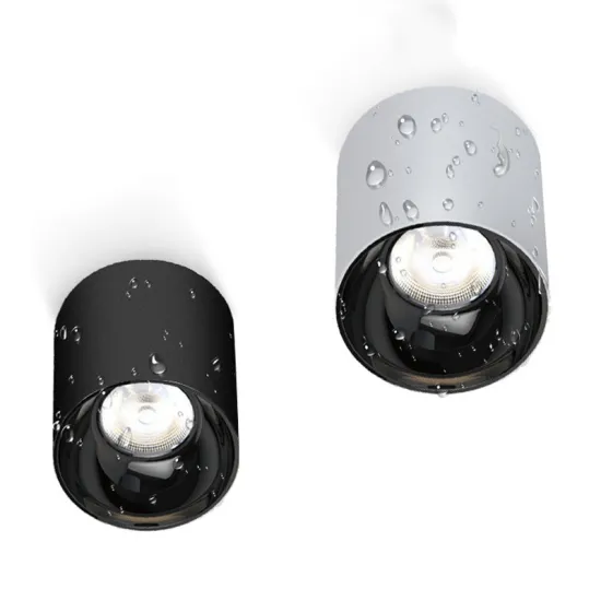 OEM BRD Light 15W Waterproof Surface Mounted LED Downlight IP65