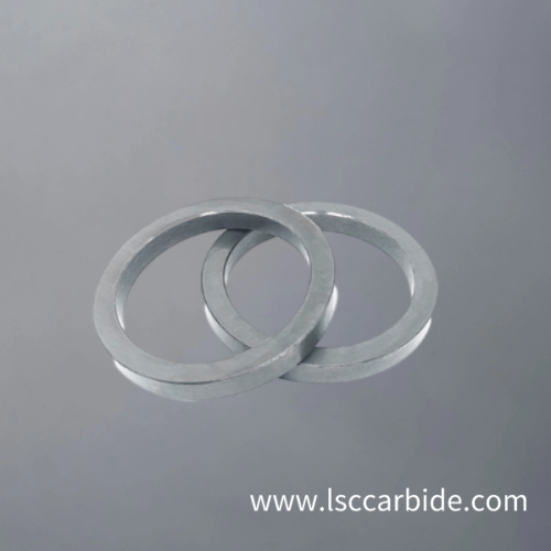 Polished tungsten carbide seal ring for sealing industry