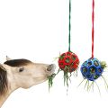 Jouet mangeur de foin à la boule de gâterie à cheval