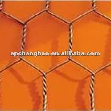 BWG23 1 inch cage mesh