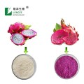Fruit Powder Red Dragon Fruit Powder