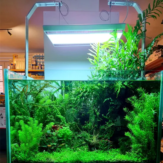 Wholesale WEEK AQUA A Series ARK Trade Assurance LED Lighting with APP Control
