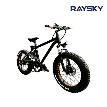 Kids Fat Tire Mountain Electric Bike