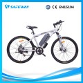 Ausziehgabel Lithium Batterie Elektro Mountainbike