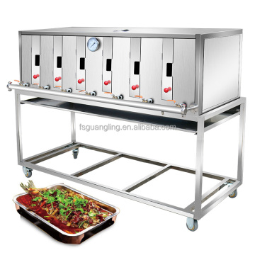 Commercial Gas Grill Equipment for BBQ and Roasting