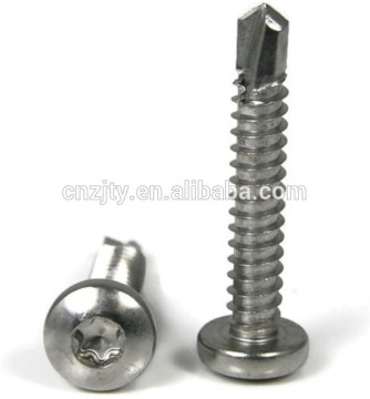 Decorative star socket self drilling screws with high quality from China