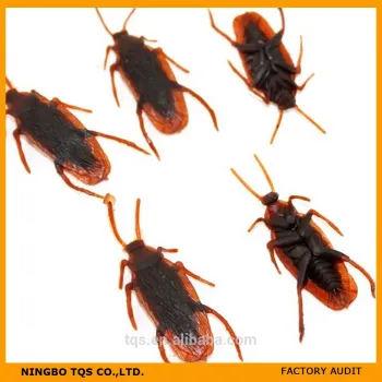 New Strange Funny Plastic Fake Cockroach Toys