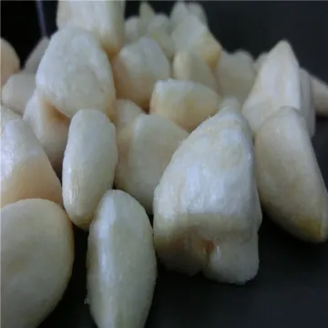 Hypothermia vf garlic cloves