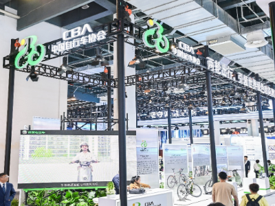 Electric Mountain Bike