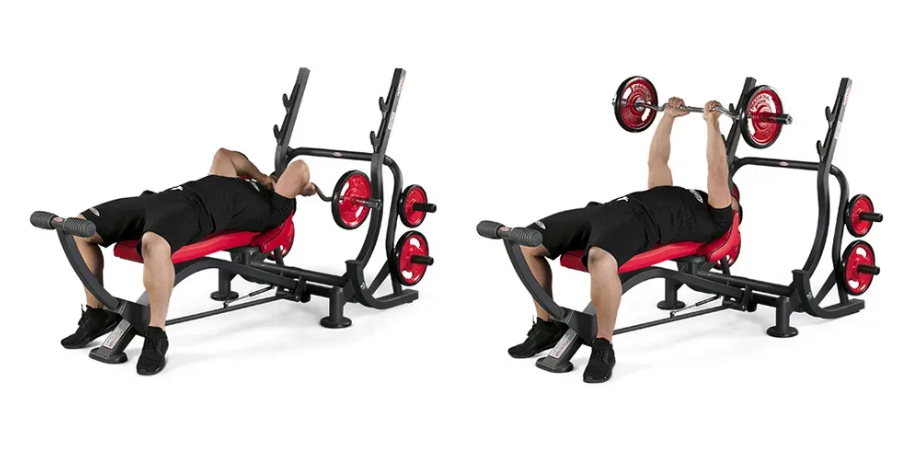 Triceps Bench Plate Loaded