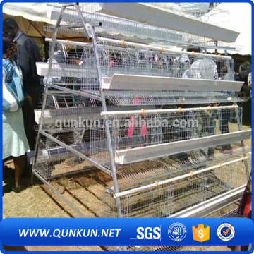 qunkun metal Poultry Farm/Poultry House/Livestock/Chicken House