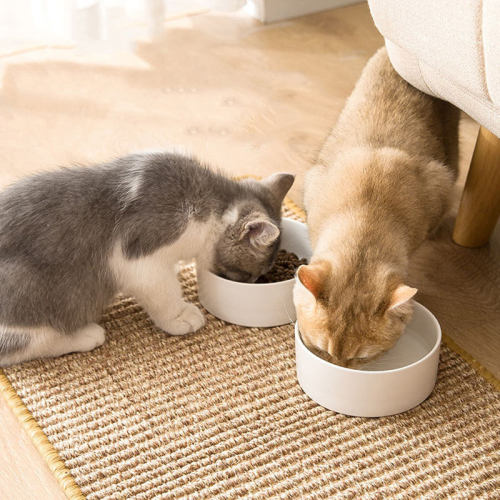 Sofa protection Sisal Mat Large Card Board