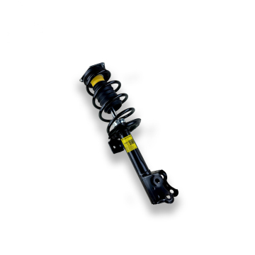 Shock Absorber Assembly with Spring for Benz Classe A W169 and Clase B W245 (1693201030 A1693201030 1693201430)