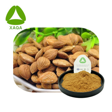 Almond Bitter Apricot Kernel Extract 10:1 Powder