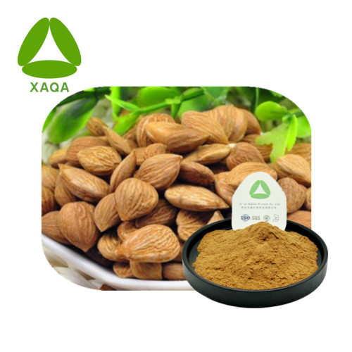 Almond Bitter Abrikoos Kernel Extract 10: 1 Poeder