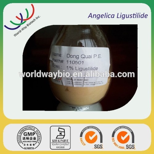 Treating women's problem Dong quai extract /dong quai extract powder with 1% Ligustilide by HPLC