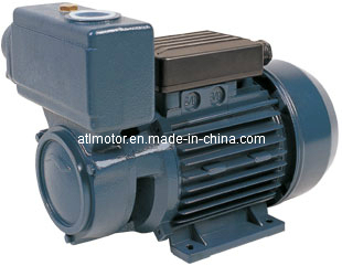 Water Pump (TPS)