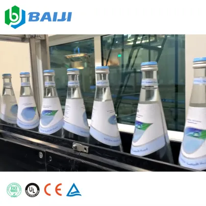 Fully Automatic Glass Bottle Spring Mineral Water Bottling Plant