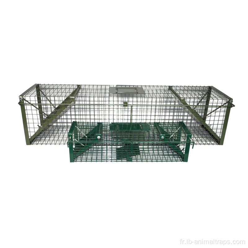 Nature humaine Live Pest Bird Cage Bird Trap