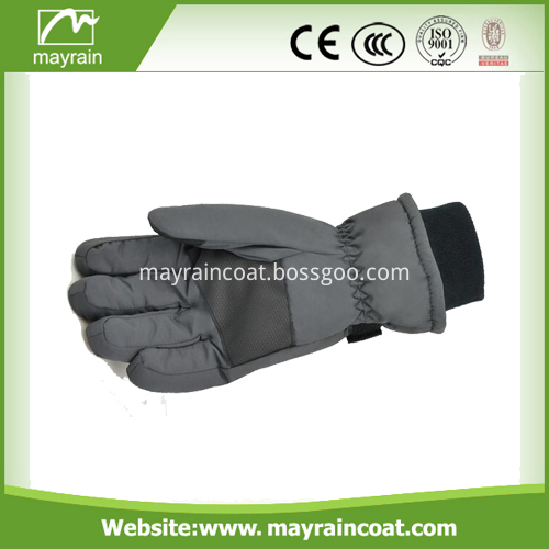 insulated ski glove