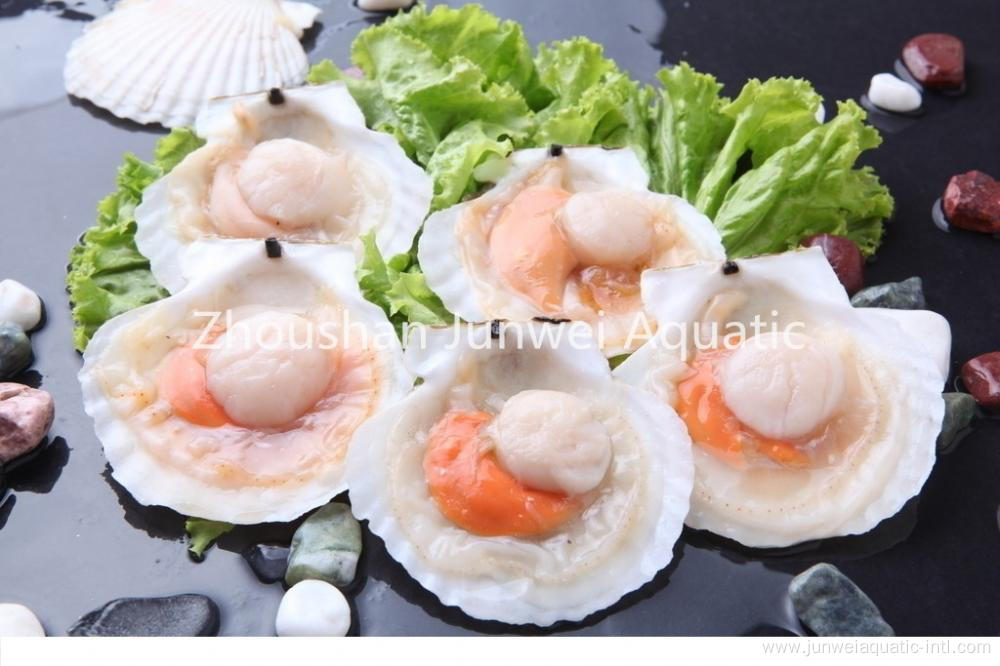 frozen half shell scallop