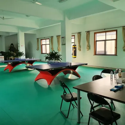 PVC Table tennis floor Table tennis with ITTF