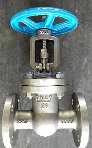 DIN 3352 2205 Gate Valve, DN40, PN25