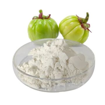 Garcinia Cambogia Extract Powder Herbal Extract Garcinia Cambogia Supplier