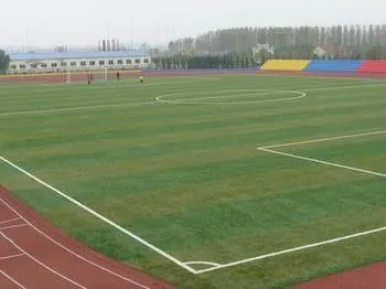 Tencate Thiolon Yarn Futsal Artificial Grass 11000dtex 50mm Bicolor