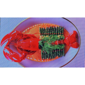 Dış Mekan HD LED Şeffaf Cam Ekran