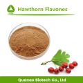 Flavonas de extracto de hojas de espino / bayas 10% en polvo