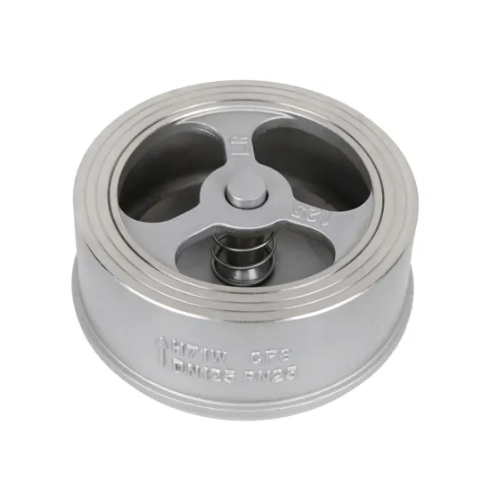 Taike Valve China Manufacturer Cast iron Cast Steel Stainless Steel Wafer Non Return Check Valve