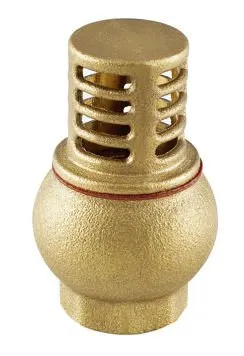 brass check valve, valve, check valve, brass valve, air compressor check valve, swing check valve, spring check valve