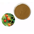 Best function cnidium monnieri extract powder fructus cnidii