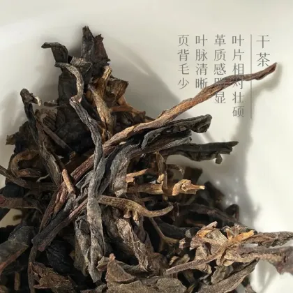 Professional Selection Organic Green Tea Heritage - Rich and Mellow Taste